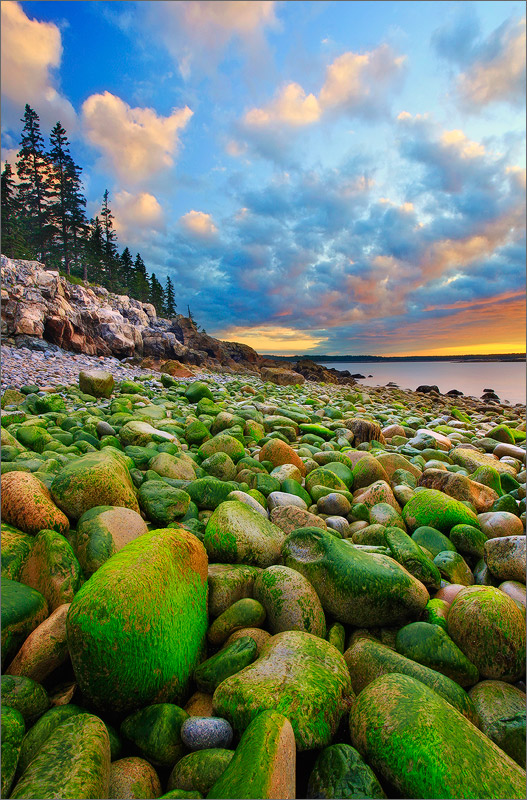 Schoodic peninsula, Acadia national park, Maine, moss, rocks, sunrise