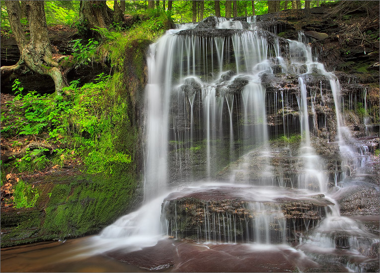 waterfall, Sunderland, Massachusetts, gunn brook, summer