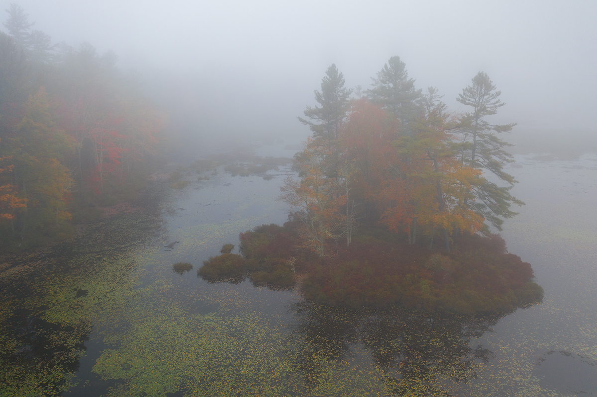 autumn, foliage, island, fog, harvard pond, massachusetts, patrick zephyr