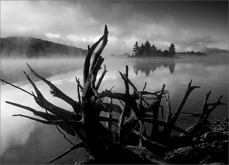 Island, quabbin reservoir, Massachusetts, sunrise, fog