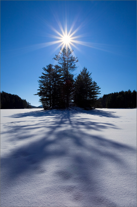 I have had this image in my mind for years. The conditions finally came together on the crisp winter morning. This is a small...