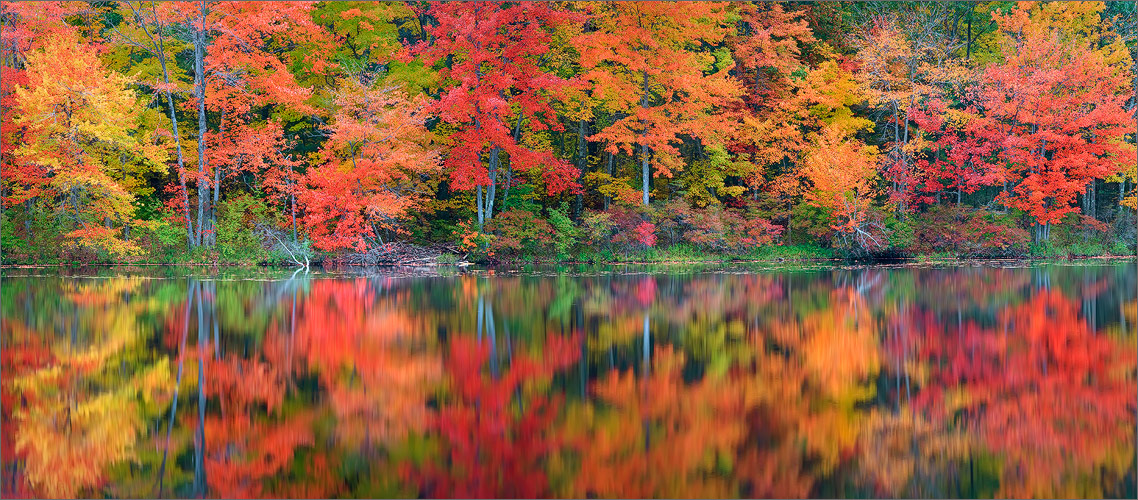 Autumn, reflection, knights pond, Pelham, Massachusetts,