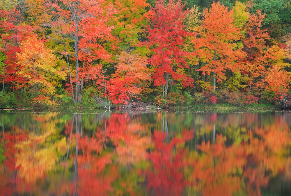 Pelham, knights pond, Massachusetts, reflection, autumn, pond