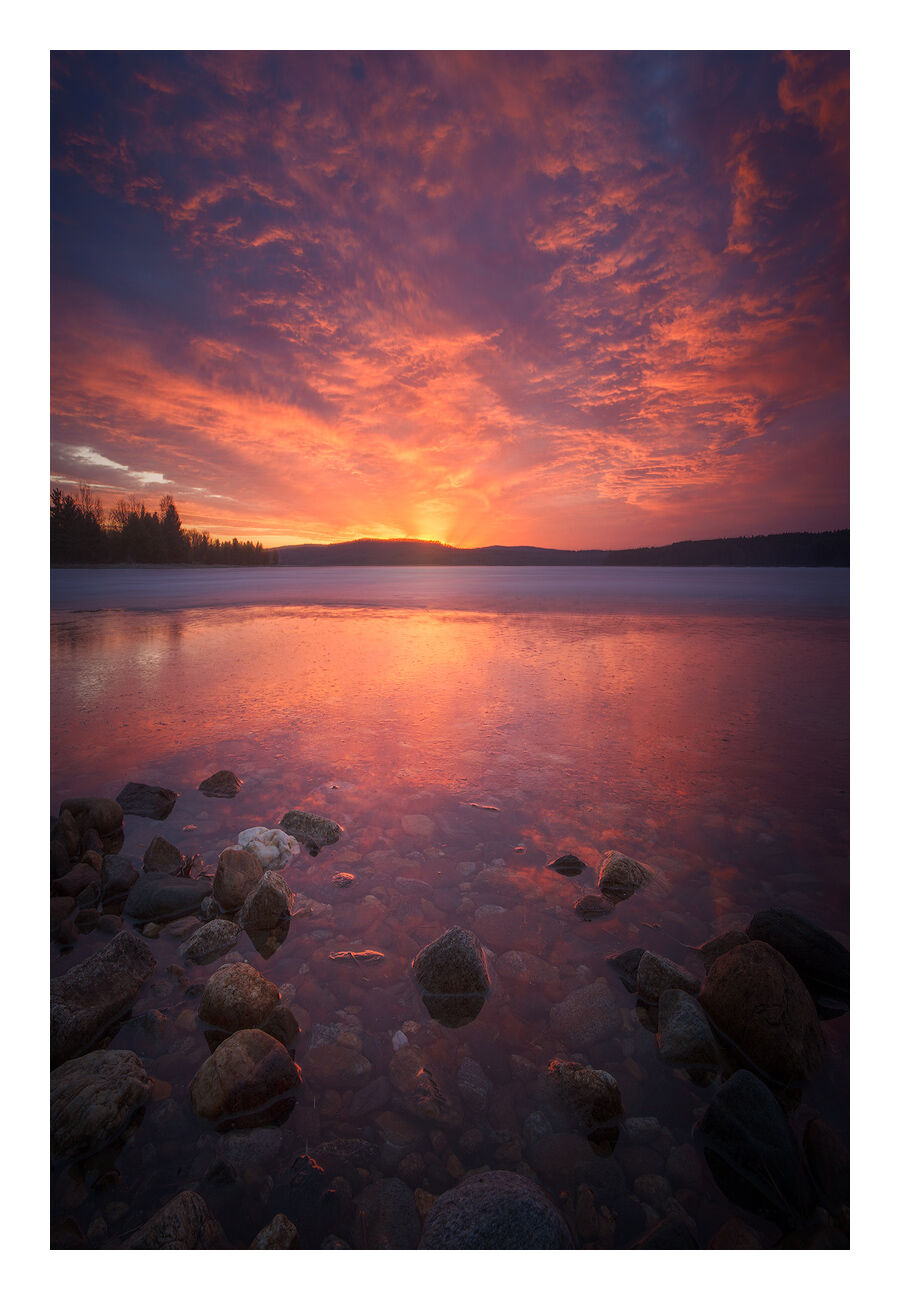 FINE ART NOTE CARD print preview