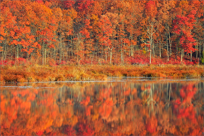 Autumn, reflection, pond, Massachusetts, quabbin reservoir,