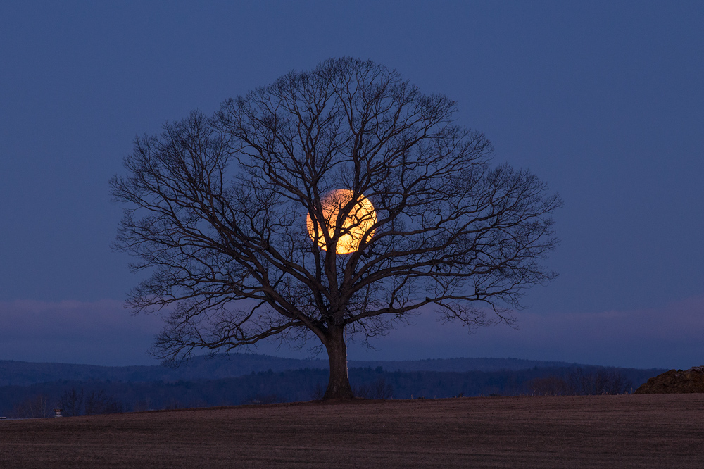 The Super, Blue, Blood Moon has not happened in North America since 1866!!! I know there were many people out there yesterday...