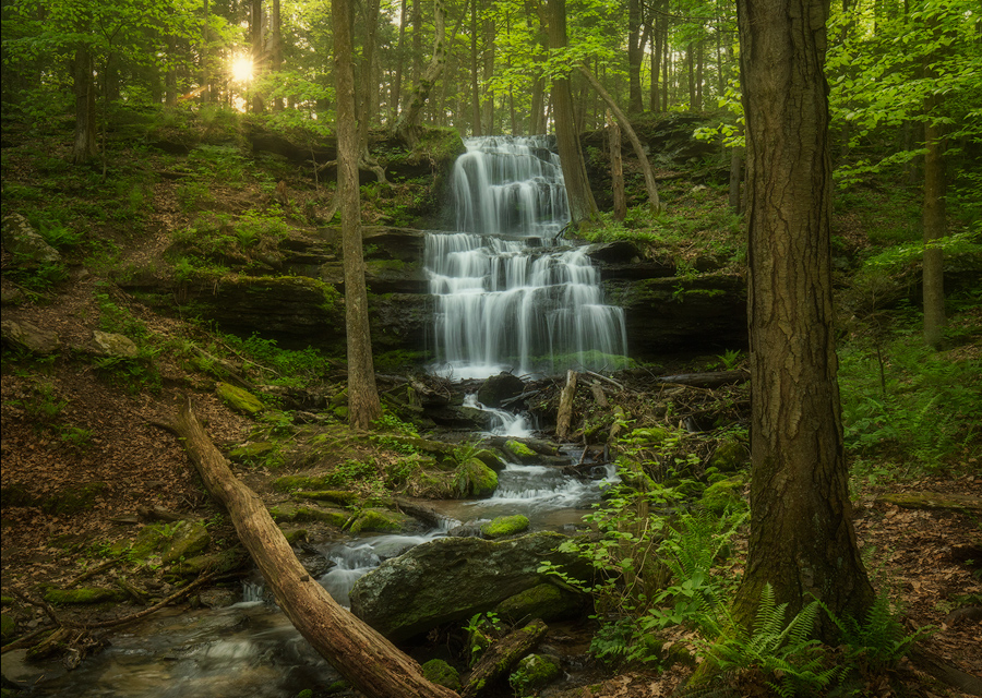 I first photographed this spot many years ago with slide film. I had forgotten how beautiful and lush the spring forest here...