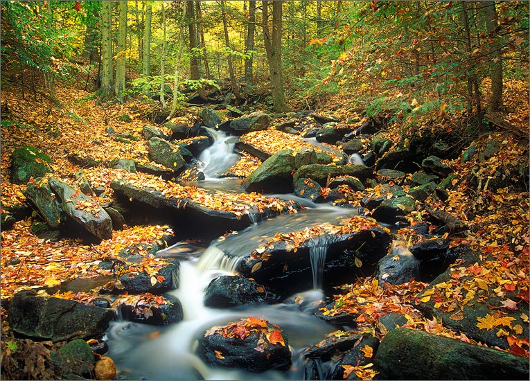 Lyons brook, Wendell, Massachusetts, autumn, cascade