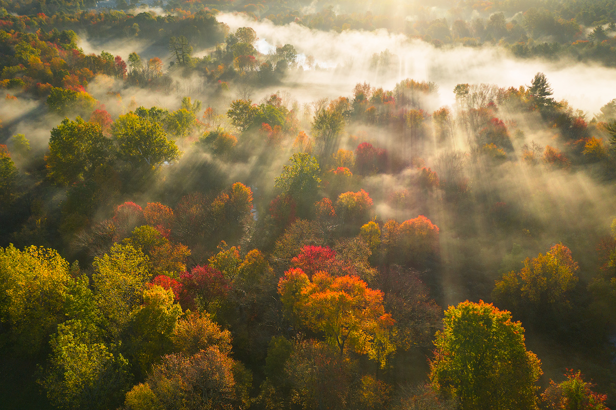 morning fog, trees, autumn, amherst, patrick zephyr