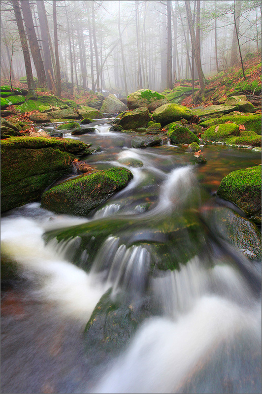 Stream, amethyst brook, Pelham, Massachusetts, fog, moss