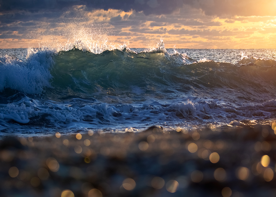 Something different- a capture from this past winter on the coast of Florida. My daughter Sky loves the ocean and waves and she...