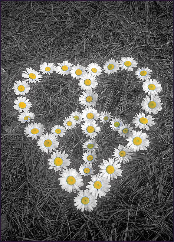 Peace sign, heart, flowers