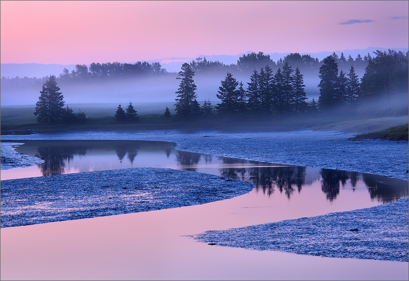 acadia national park, maine, sunrise, pink