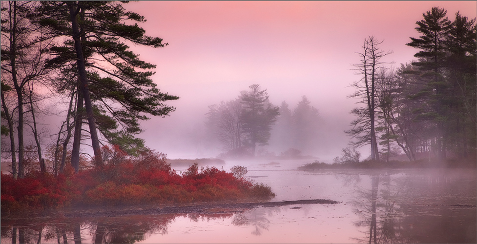 Harvard pond, petersham, Massachusetts, island, sunrise, fog