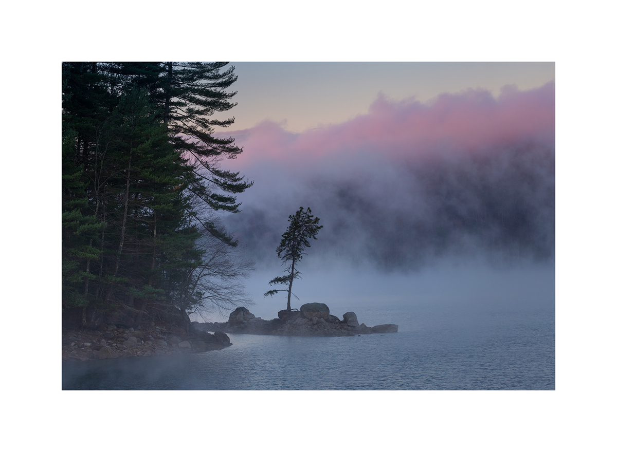 MATTED PRINT print preview