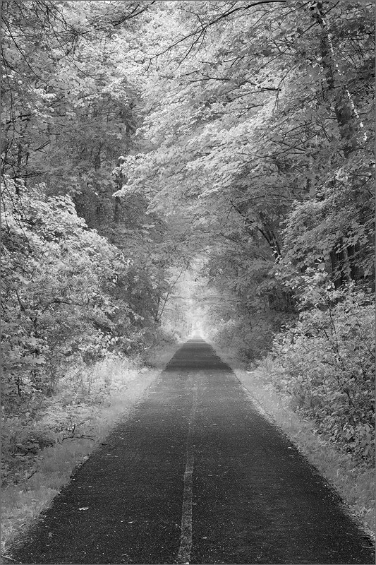 Rail trail, Hadley, Massachusetts,