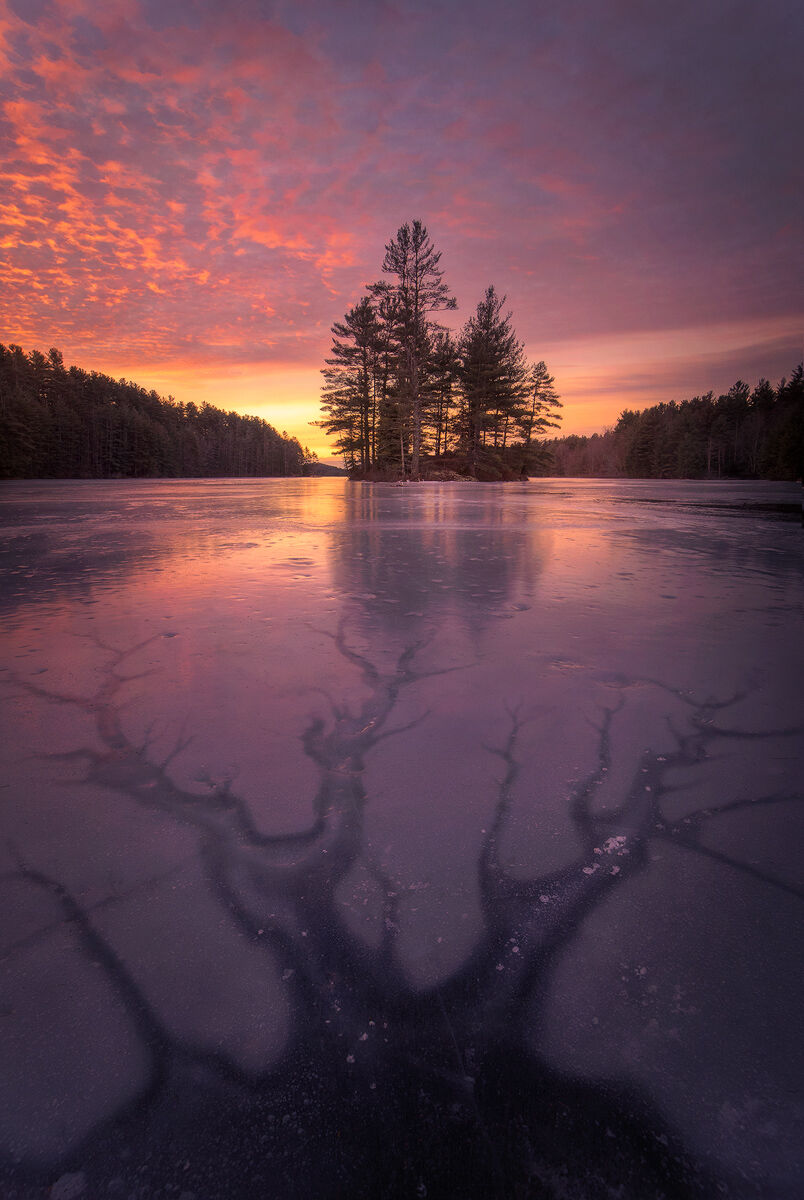 sunrise, quabbin reservior, massachusetts, New Salem, tree, island