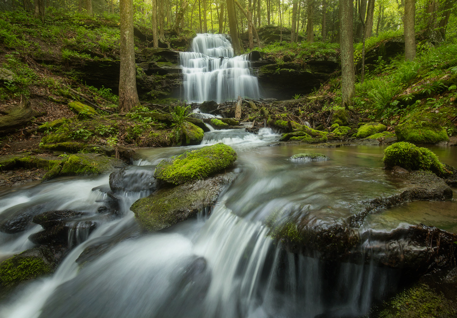 Another of the many compositions I captured from this magical place last week. I find that sometimes the best compositions require...