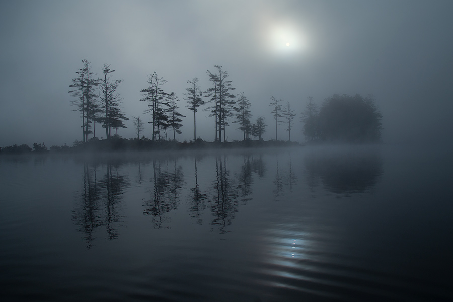 Another magical morning paddling around in the fog.&nbsp;