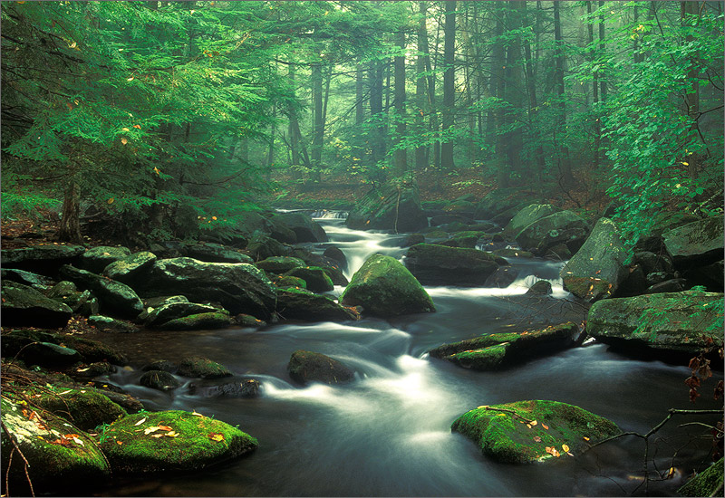 Sawmill river, leverett, Massachusetts, fog, summer, stream