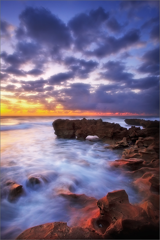Coral Cove State Park. One of only a few places in Florida where he Anastasia Formation is exposed.