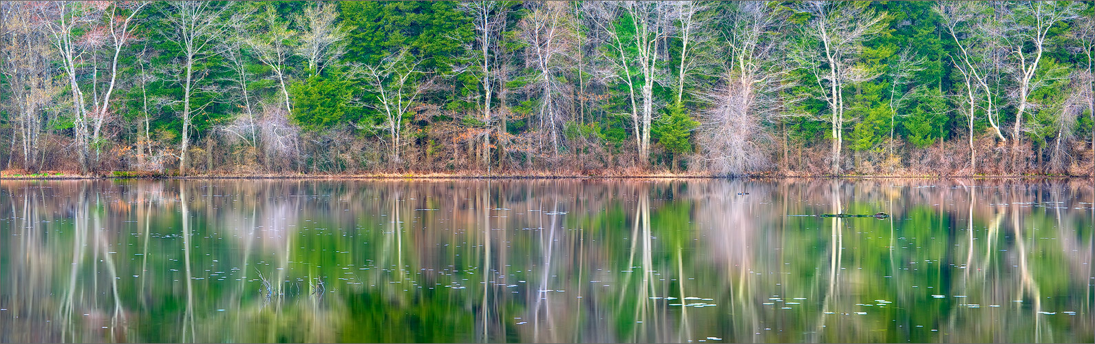 Pond, reflection, spring, Massachusetts,
