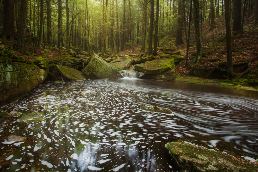 I had to dig into one of my explorations here from last year to remind myself of what it looks like with water!!!! This stream...