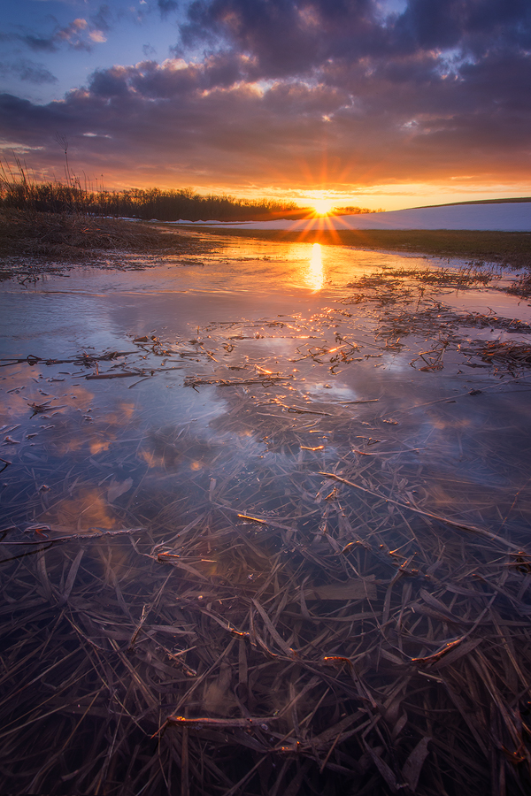 A sunrise captured a few years ago at one of my favorite spots in Hadley, MA. I left cold and very wet as I usually do when I...