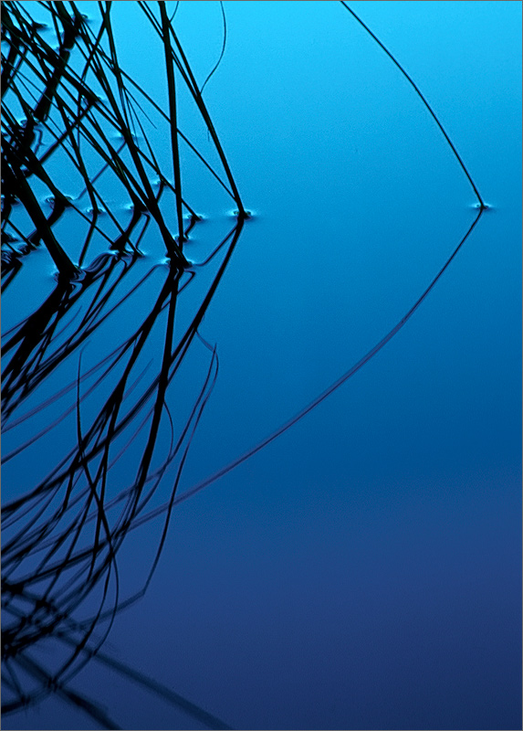 Water, blue, reflection, tension
