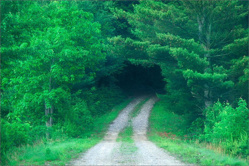 Road, green, quabbin reservoir, Massachusetts,