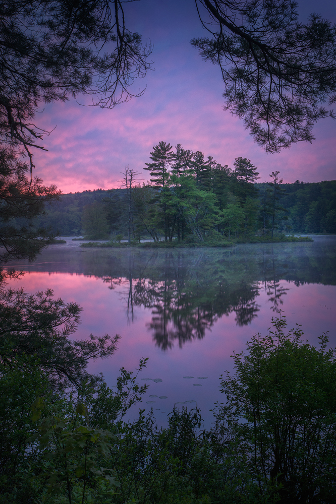 dawn, sunrise, harvard pond, Massachusetts, island, petersham, patrick zephyr, violet
