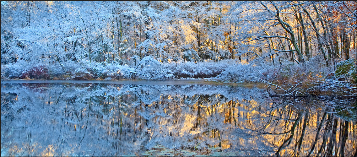 Reflection, winter, gold, Pelham, Massachusetts,