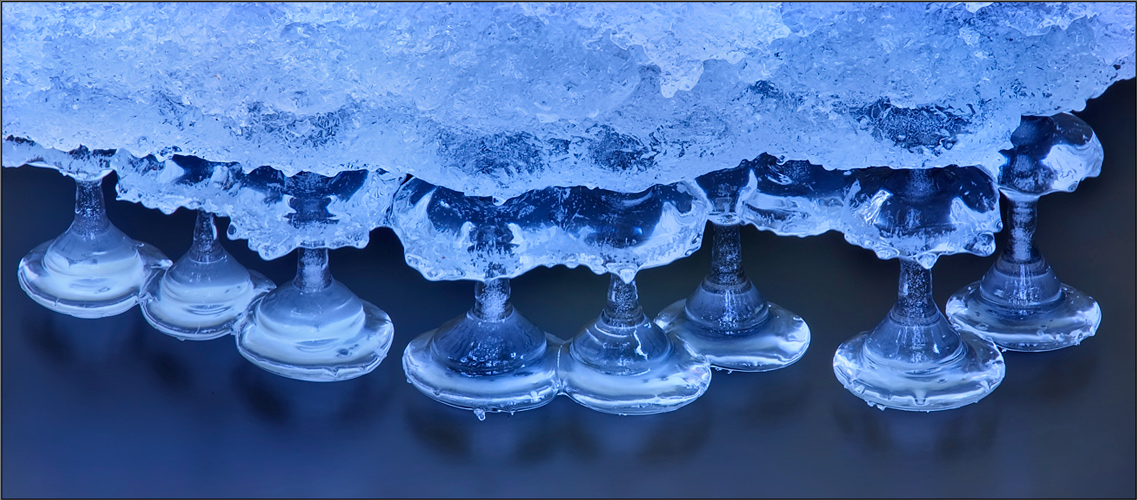 Ice, winter, blue, mushrooms