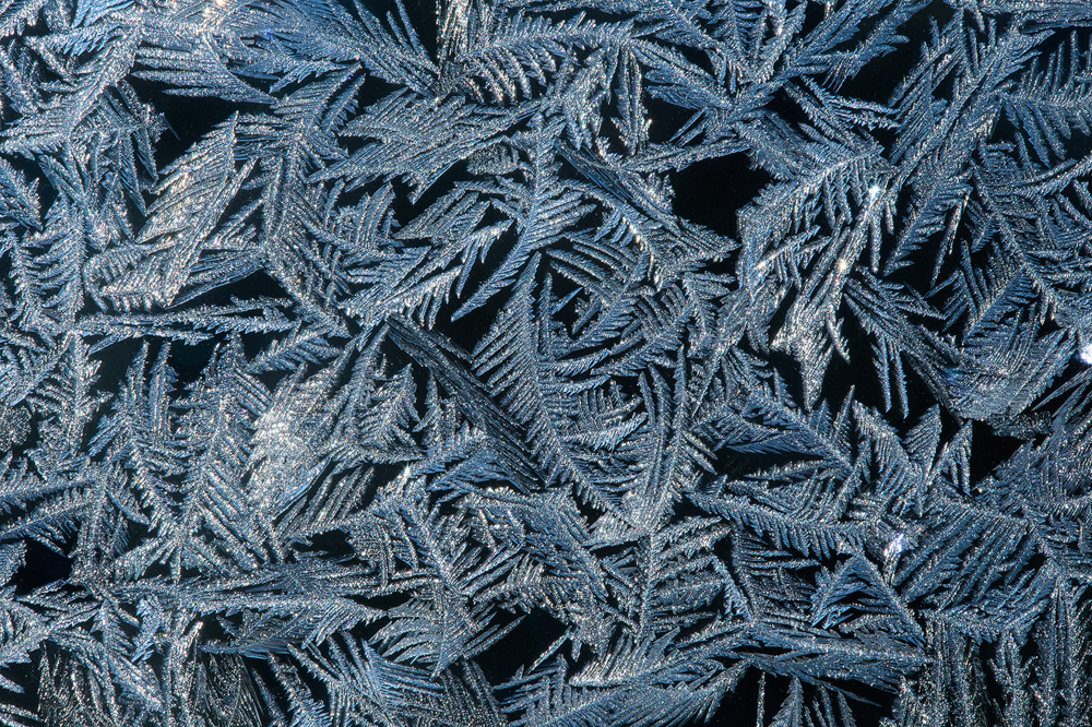ice, frost, winter, Massachusetts, Patrick Zephyr,