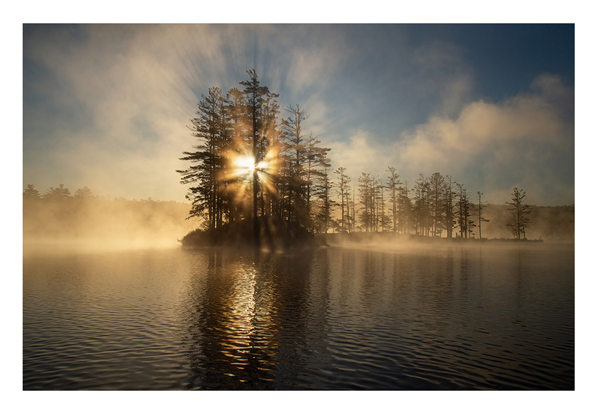 FINE ART NOTE CARD print preview