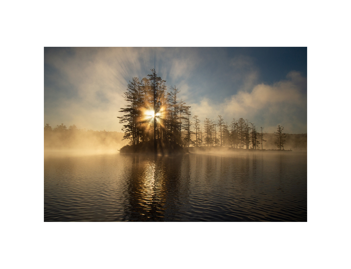 MATTED PRINT print preview